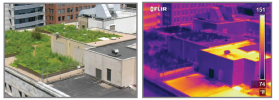 imagen de techos verdes por infrarojos