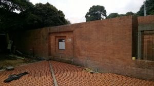 Curso avanzado de muros verdes en Colombia