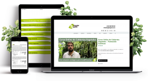 Curso jardines verticales