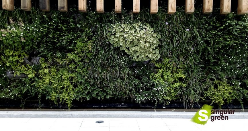 Nuestro primer jardín vertical en Bilbao - SingularGreen