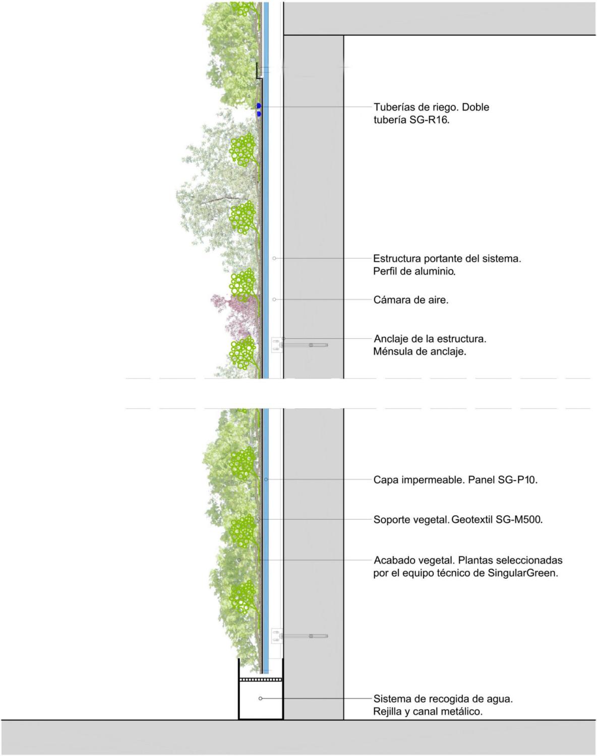 Jardines verticales Guía para descubrir todo sobre los muros verdes