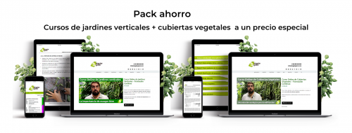curso-online-de-jardines-verticales-y-cubiertas-vegetales