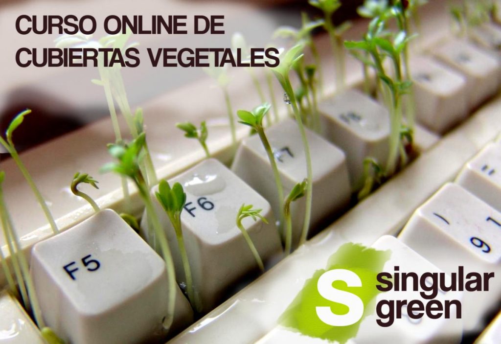 Curso Online de cubiertas vegetales