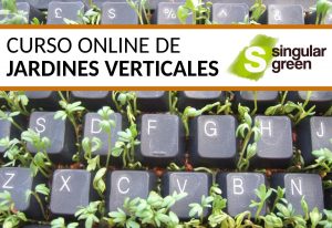 Curso Online de Jardinería Vertical