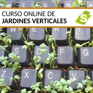 Curso Online de jardines verticales