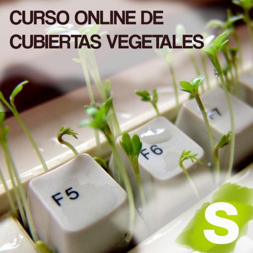 Curso online de cubiertas vegetales