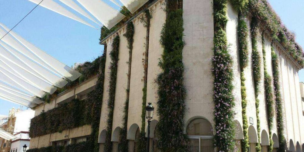 Jardines verticales en Córdoba