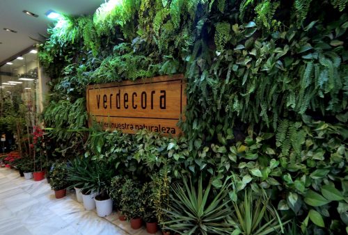 SingularGreen - Jardines verticales y Cubiertas vegetales