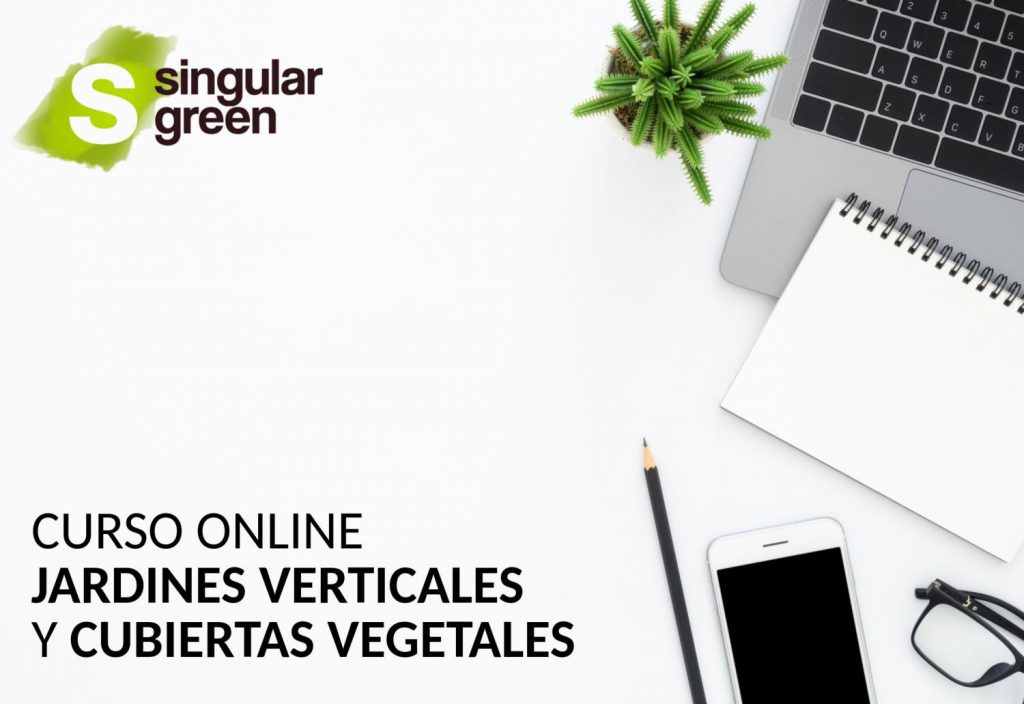 Curso Online de Cubiertas Vegetales y Jardines Verticales