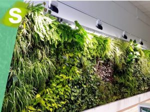 jardín vertical de aire acondicionado vegetal