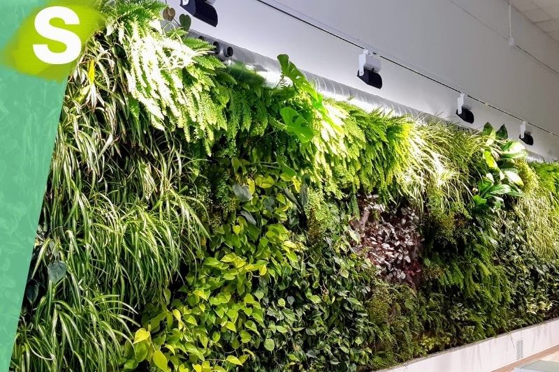 jardín vertical de aire acondicionado vegetal
