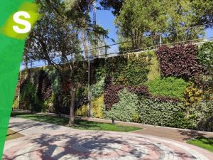 Jardín vertical en el parque del Canal de Isabel II Madrid