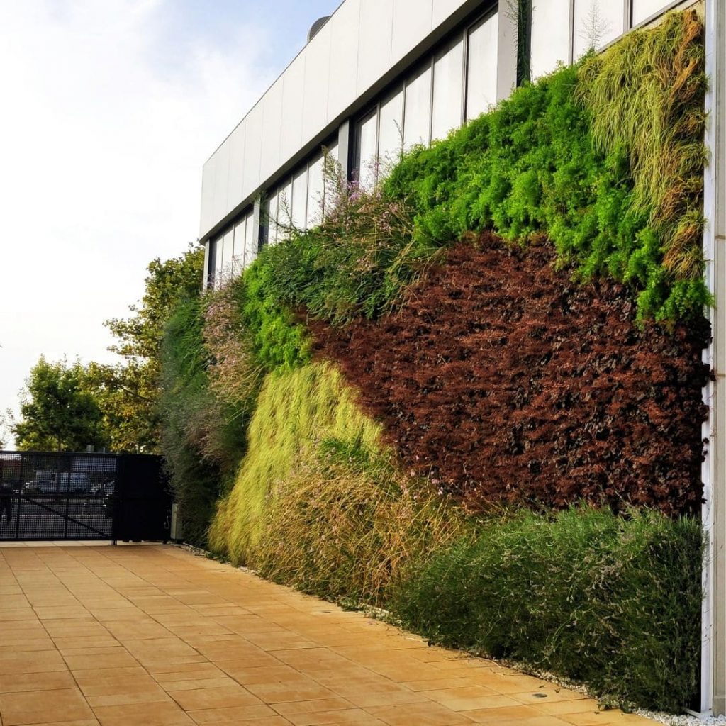 Jardín vertical realizado en exterior en Valencia