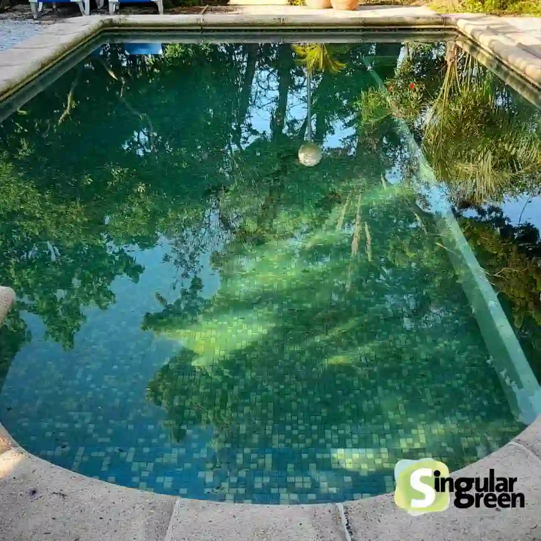 Piscina natural san fulgencio alicante