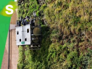 jardines verticales de planta con baja necesidad luminica