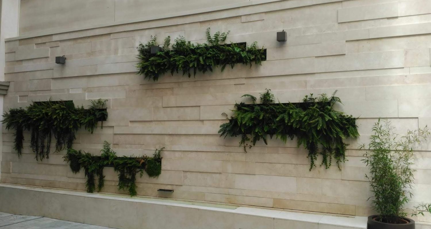 Muro con vegetación en granada