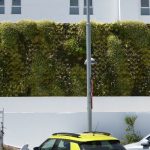 Muro verde en palma de Mallorca