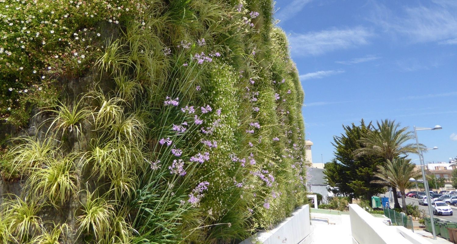 Jardines verticales en Mallorca