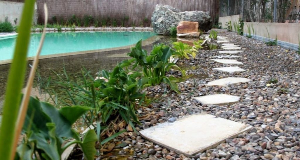 piscina natural en moncada