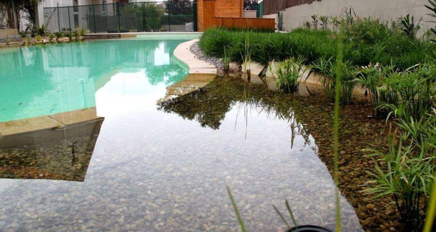 Area de regeneración de plantas de una piscina eco