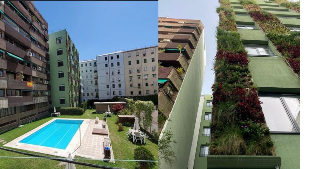 Jardín vertical en el diseño de una fachada en Madrid - SingularGreen