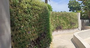 detalle de jardin vertical