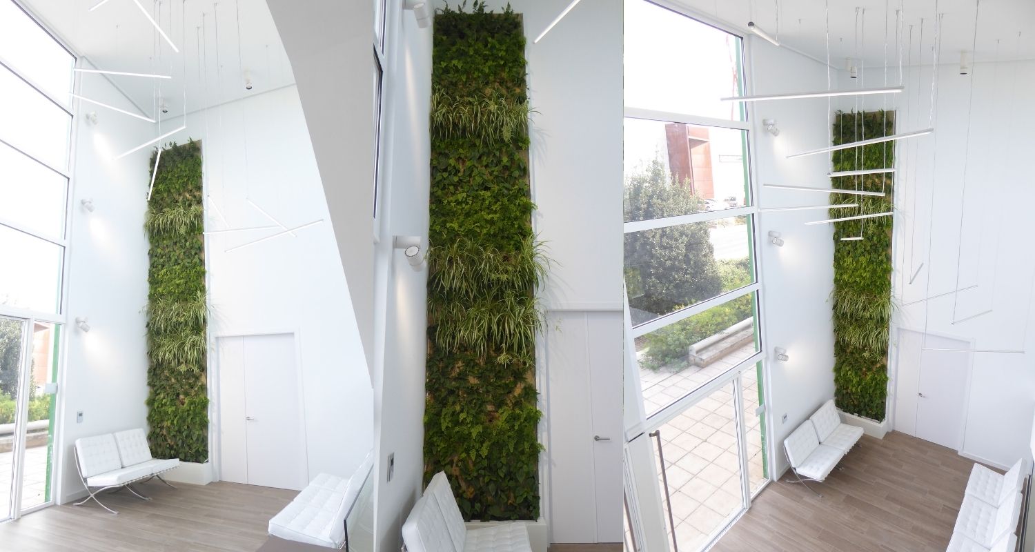 muro vegetal vertical