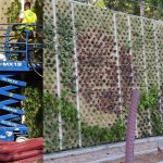 Plantación de un jardín vertical en Madrid