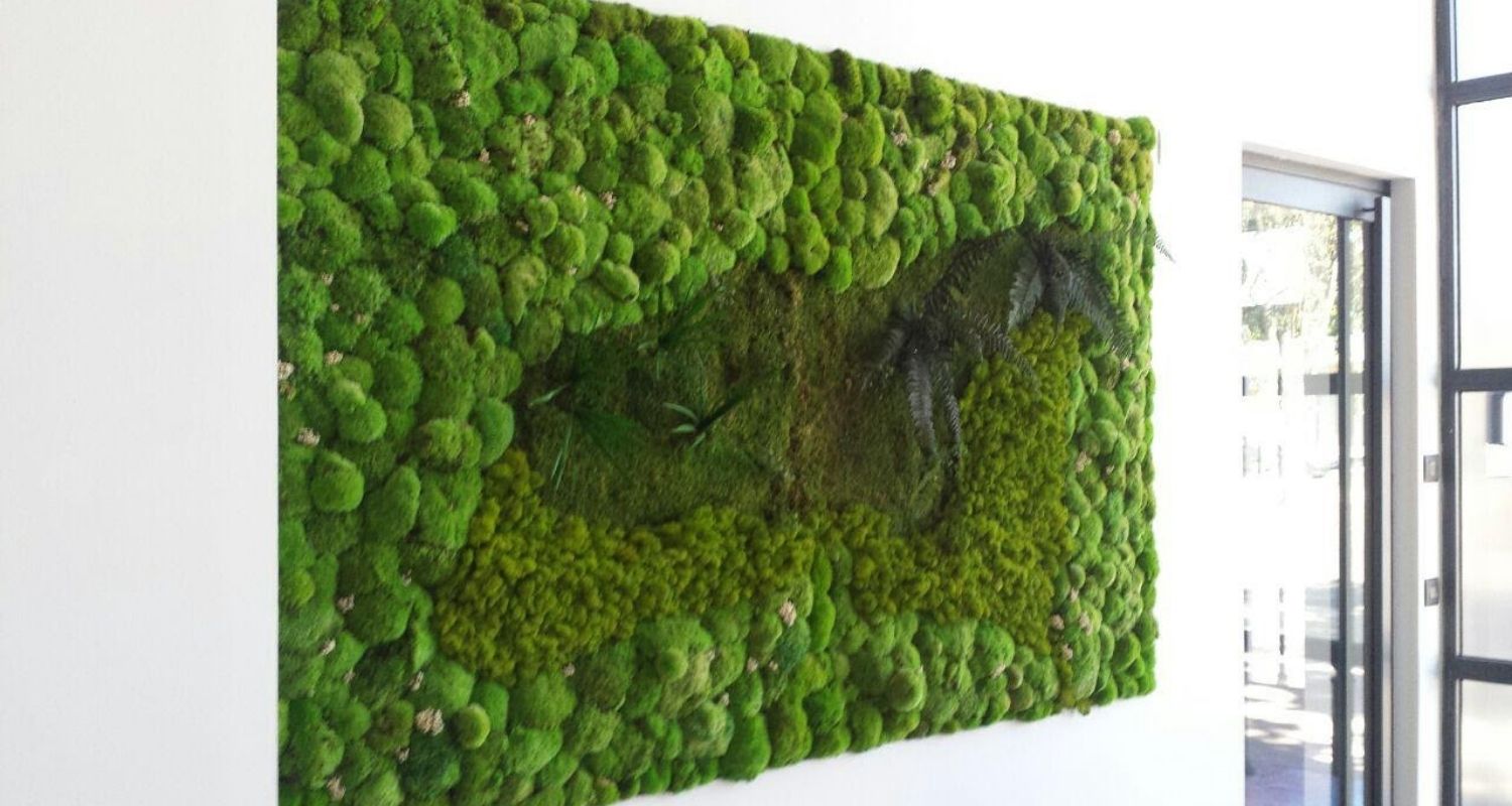 Muro verde de planta preservada