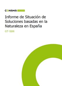 Informe situación SbN en España