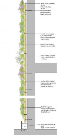 Jardines verticales Guía para descubrir todo sobre los muros verdes