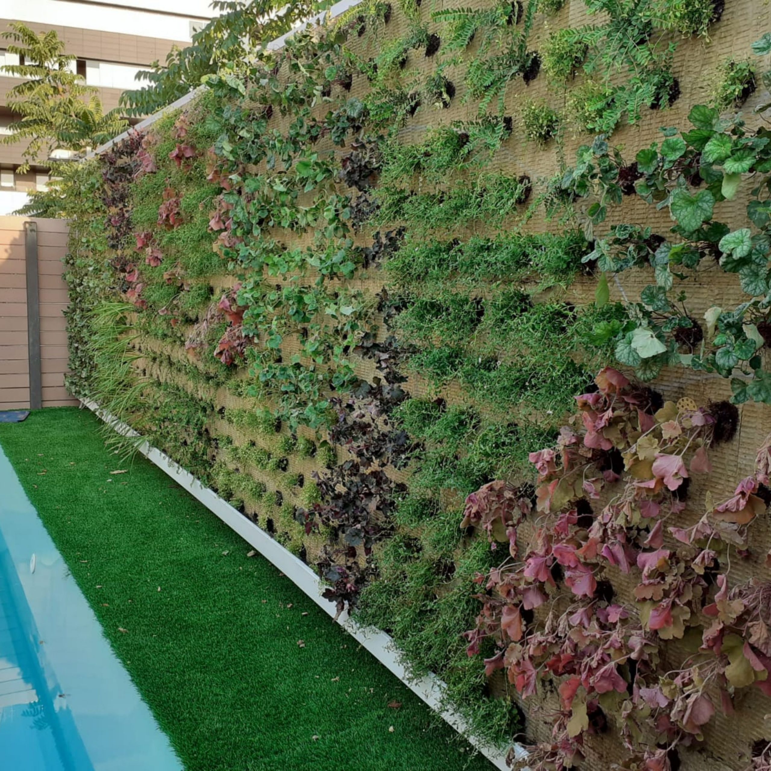 Jardines verticales ✓ Guía para descubrir los muros verdes