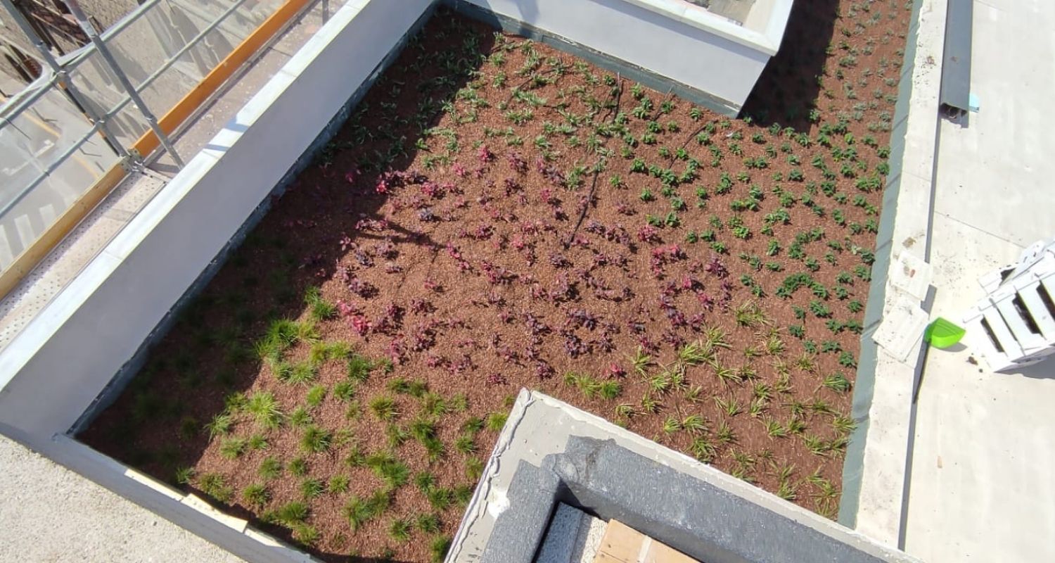 tejado vegetal no pisable
