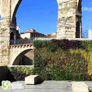 Jardín vertical en teruel en el barrio carrel