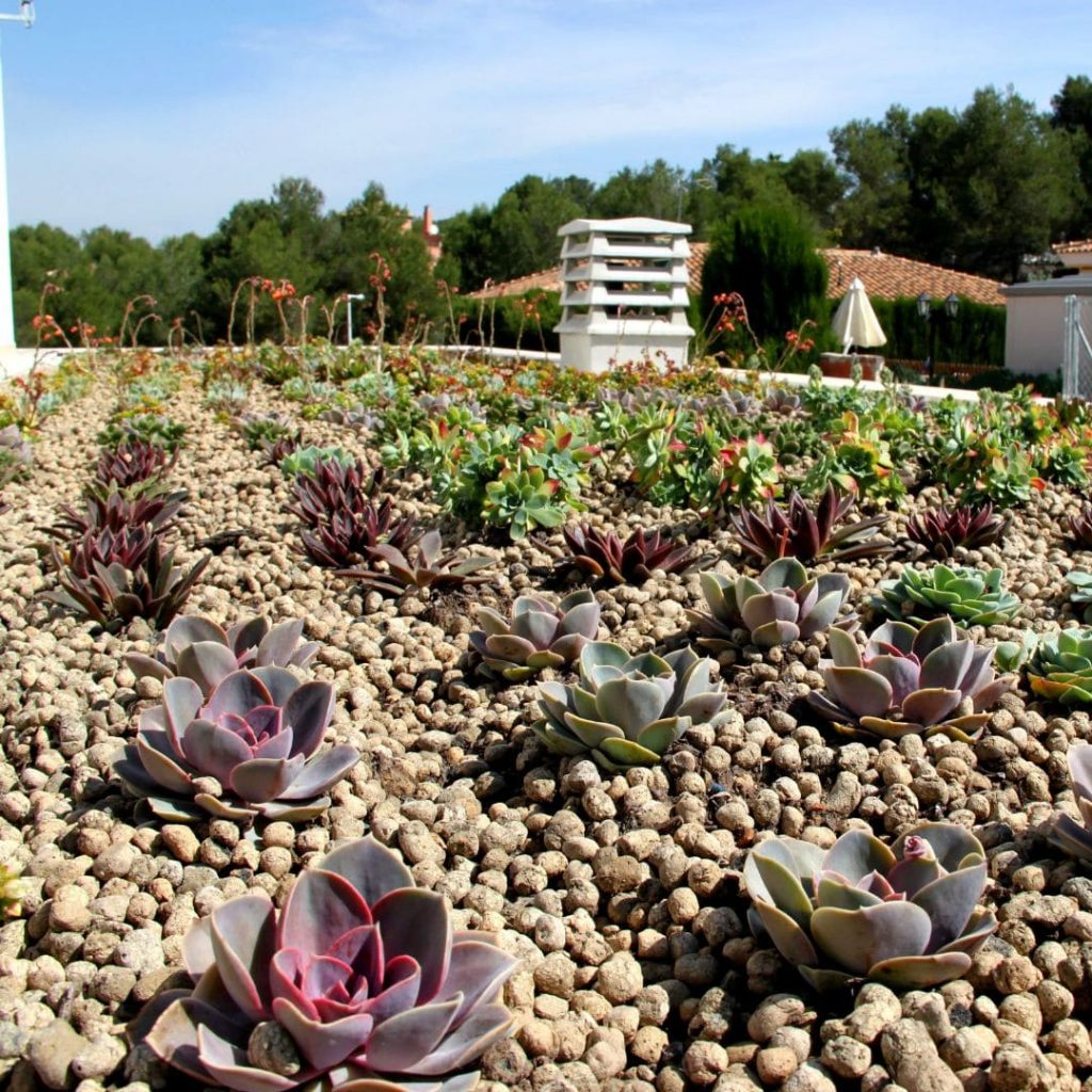 Cubierta vegetal en Vilamarxant, Valencia