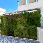 Jardín vertical en la terraza del hotel dormir de cine en Alicante
