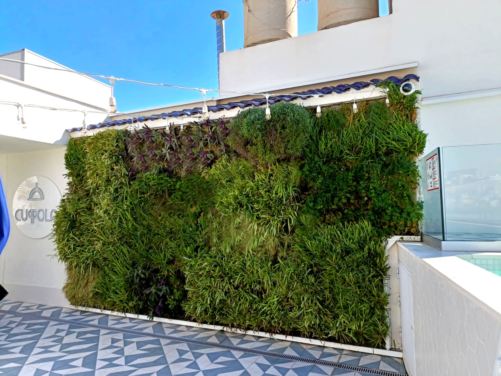 Jardín vertical en la terraza del hotel dormir de cine en Alicante