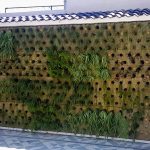 Jardín vertical en proceso de crecimiento en una terraza en Alicante