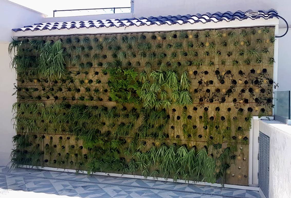 Jardín vertical en proceso de crecimiento en una terraza en Alicante