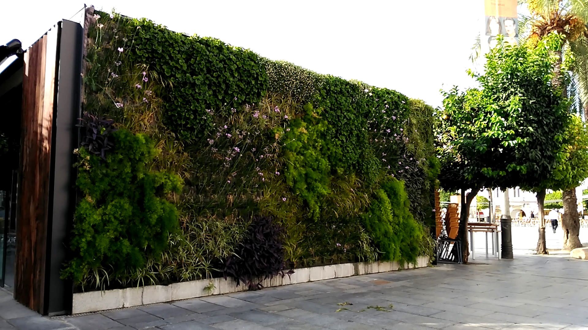 Jardines verticales en plaza España en Mérida