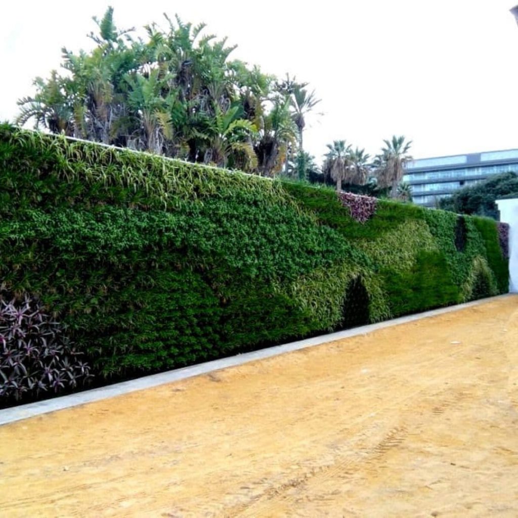 Jardín vertical en el parque Genovés en Cádiz
