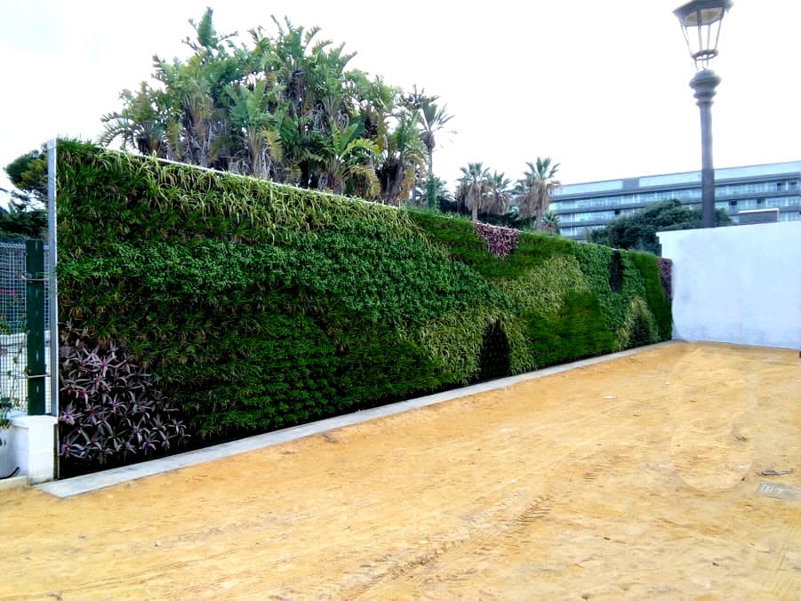 Jardín vertical en el parque Genovés en Cádiz