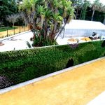 Jardín vertical en proceso de crecimiento en Cádiz