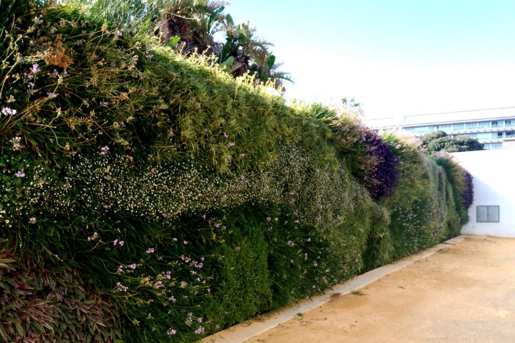 Jardín vertical realizado en el parque Genovés en Cádiz