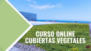 Cursos de techos verdes