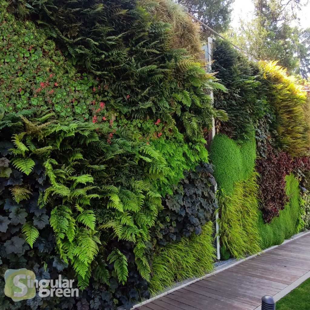 Ejemplo de sistema de jardineria F+P SIngularGreen en Inglaterra