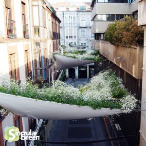 Toldos vegetales Valladolid