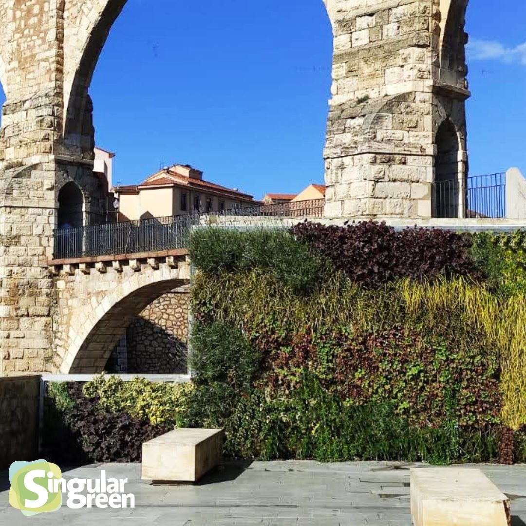 Primer jardín vertical de Teruel en el Barrio del Carrel