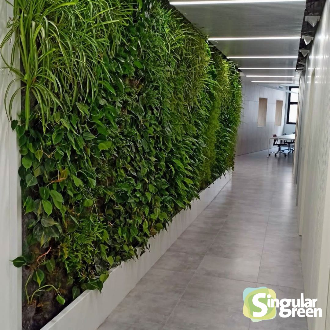 Jardín vertical interior en un pasillo de la Universidad de Alicante