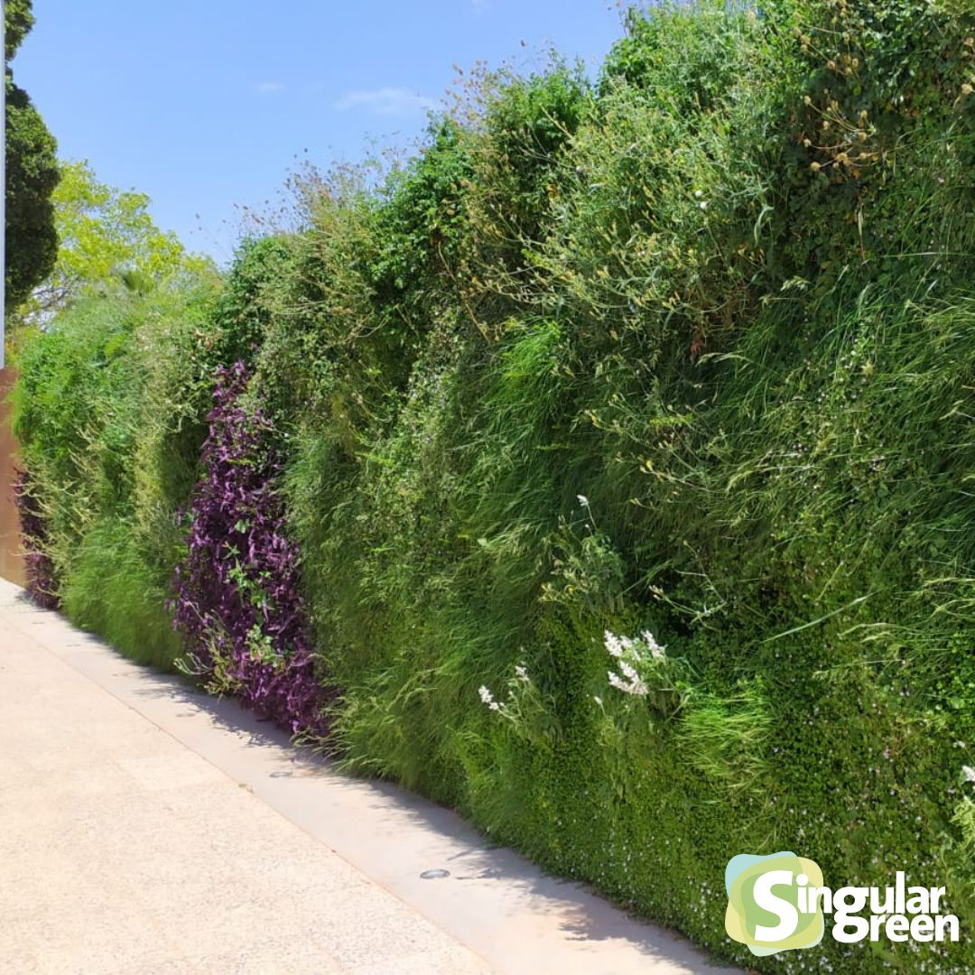 Montemar living wall